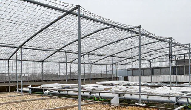 保鲜包装材料选型与维护建议